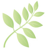 eco_friendly.jpg eco_friendly.jpg