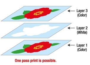 Rasterlink6_2.jpg